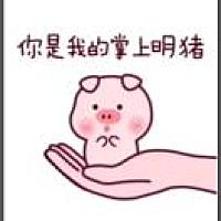 泡泡糖[帖主]
