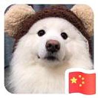 `βαbゾ伍娟娟1302003