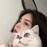 A.你的答案🌾