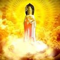 ༄༊࿆ 芷汀 ོ࿆ྂ࿐