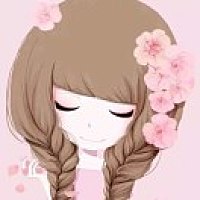 木槿