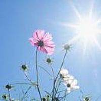 太阳