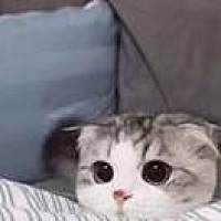 。