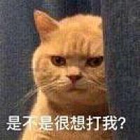 肖战最美五姨太