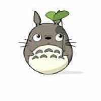 龙猫
