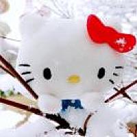 小露松比大人 🎀