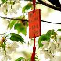 母女平安祈福