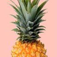 '
