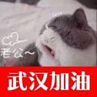 顾奈