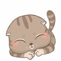 青柠🐾