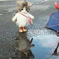丶惜缘灬