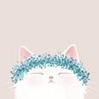 🐾