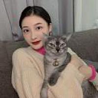 王后