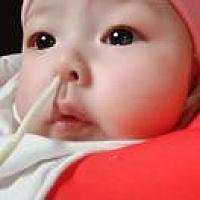 小猪吉吉ʚ🧸ྀིɞ