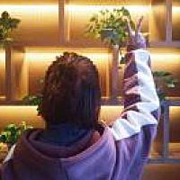 我还是挺好的对不