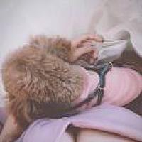 小影子大魔王丶