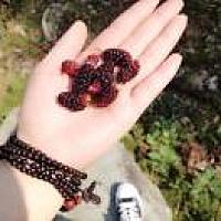 小婷（祛痘终点站🏁）