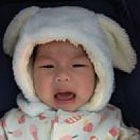懒
