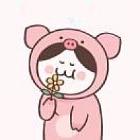 🌸 h* y