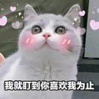耶耶Ye叶