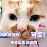 吖燕
