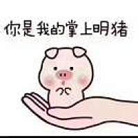 小灰灰