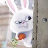 我的小名叫提莫