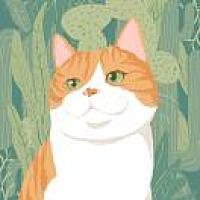 Neko