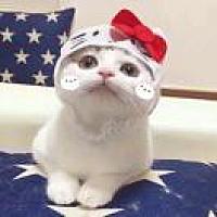 莹莹