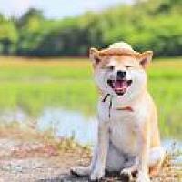汤粉嘀嗒