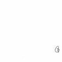 遘