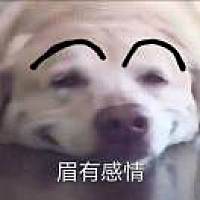 铂莱总代（没回请弹语音）