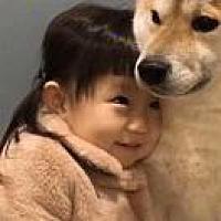 ʚ🐷ྀིɞ 糯唧唧的Mstan