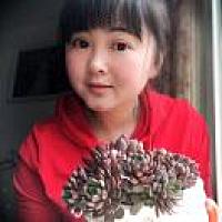 小芋头