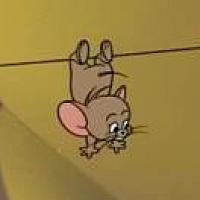 今年今日今时
