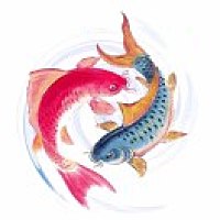 马羽诺