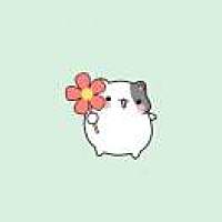 -       岳꧔ꦿ