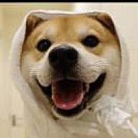 A试管辅助生殖中心15575115303