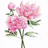 三月花神