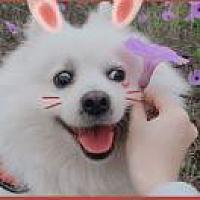 🐾