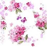 蒹葭