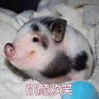 颜