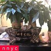 NNYC 静静【欧货批发】