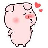🐷🐷🐷🐷🐷🐷