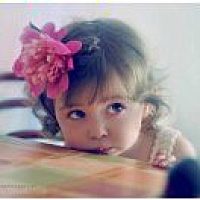 子非鱼