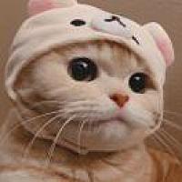 Tomoyo