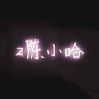 Z陈小哈
