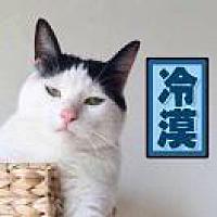是小圆圆呀