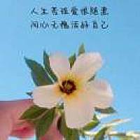 安笙_胡