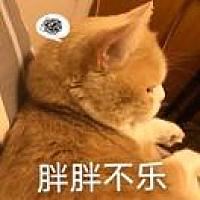 反正
